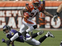Pacman Jones Arrested for Slapping Woman