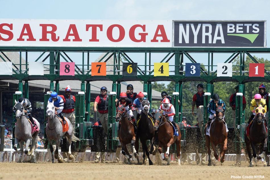 There are many different types of horse races that a casual fan may not be aware of. Here is a quick guide to the different horse races.